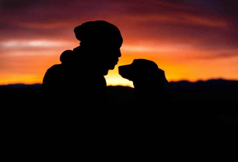 Sunset silhouette of dog and human